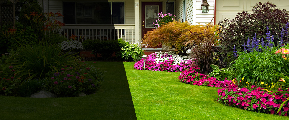 Lehigh Acres Landscapers