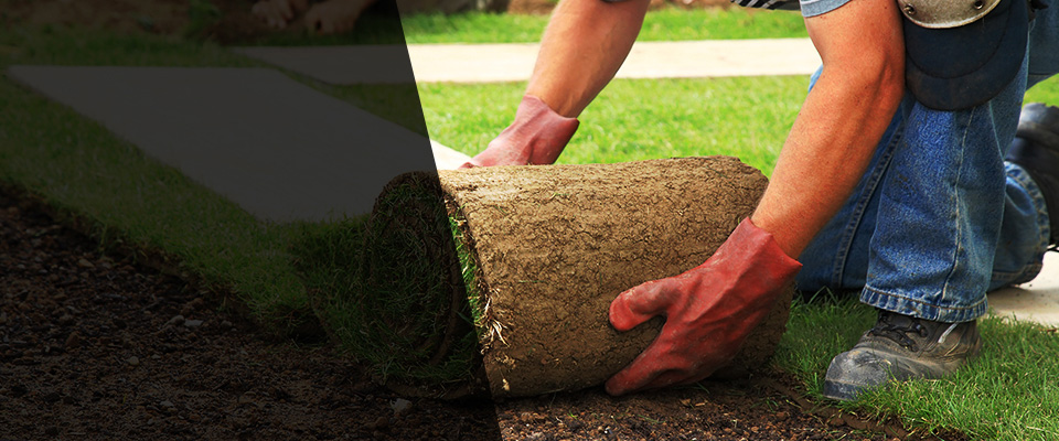 Lehigh Acres Landscapers